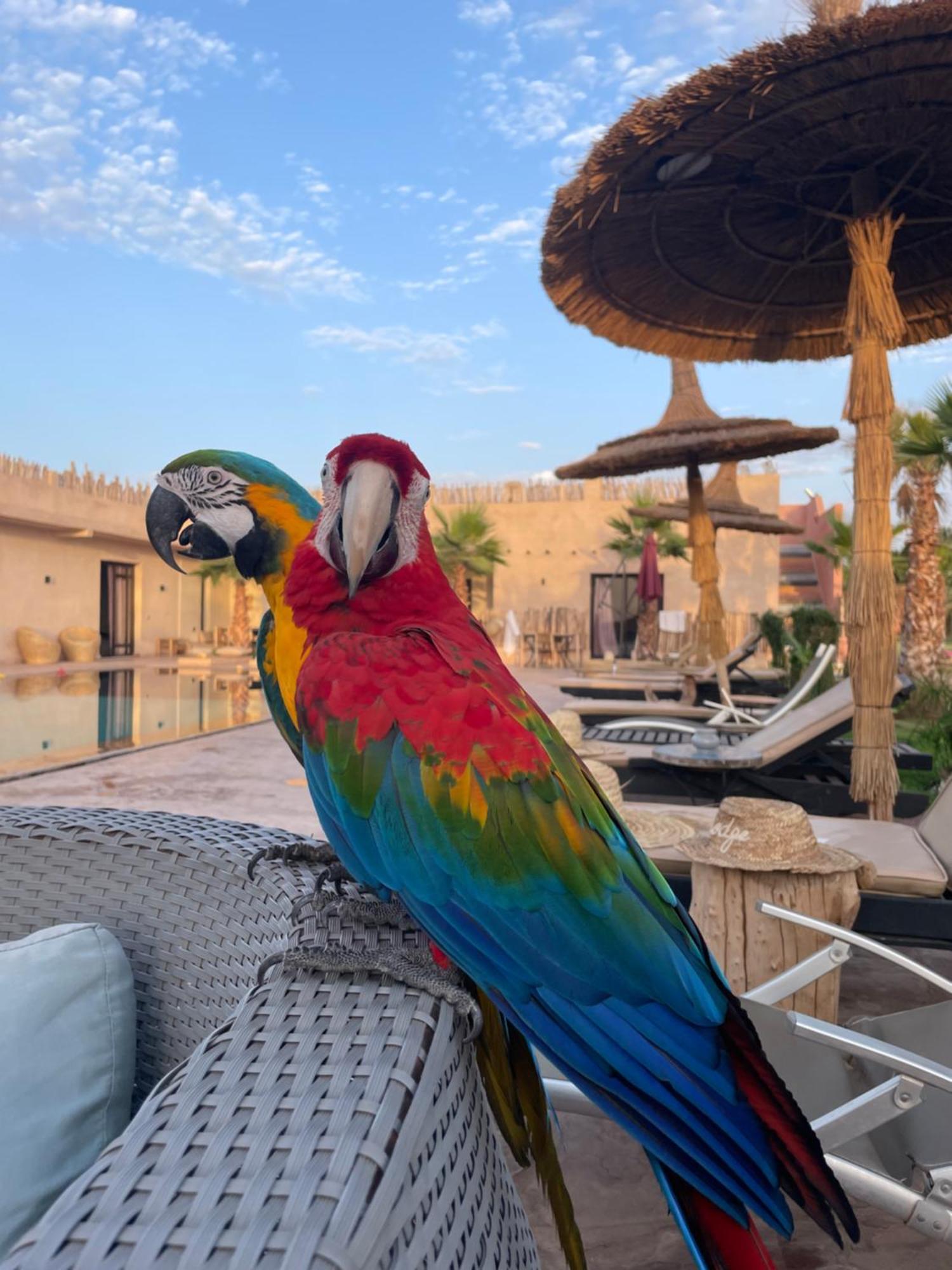 Aghmat Guest house Tamazouzte (Al Haouz)
